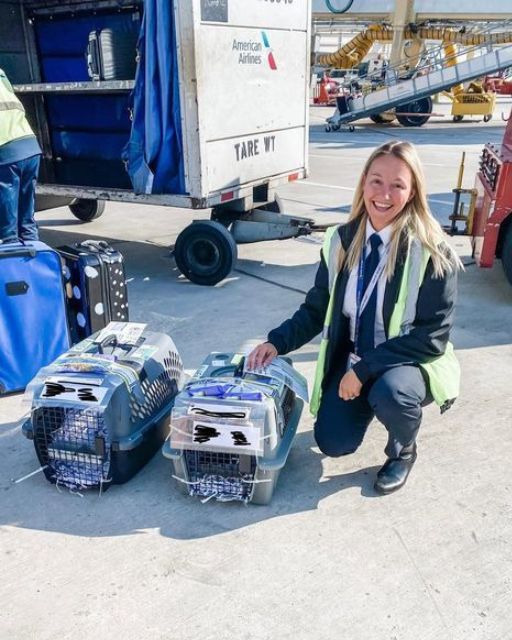My Cousin’s Job Is Baggage Handling—But She Knew What Was In Those Crates Before They Landed