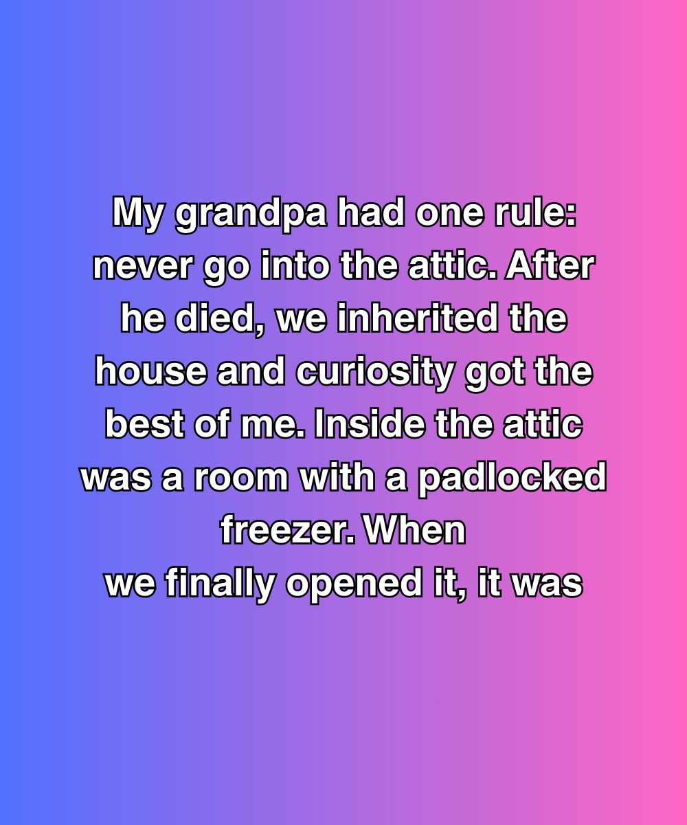 My Grandpa Had One Rule: Never Go Into The Attic. What We Found Up There Changed Everything