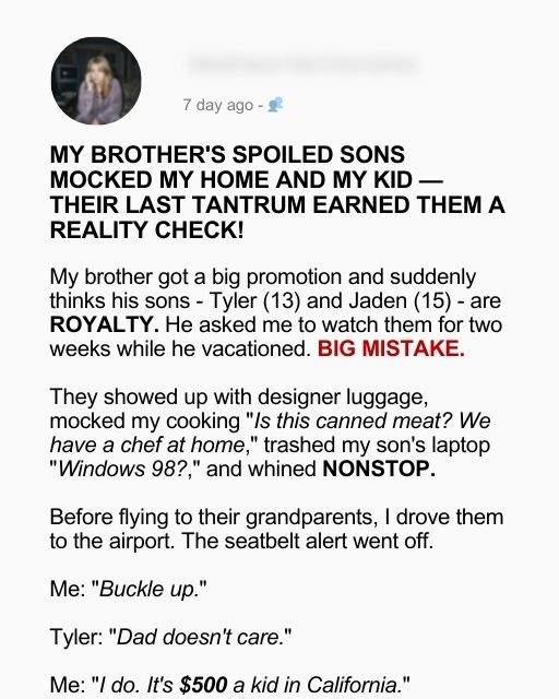 My Brother’s Spoiled Sons Mocked My Home and My Kid – Their Last Tantrum Earned Them a Reality Check!