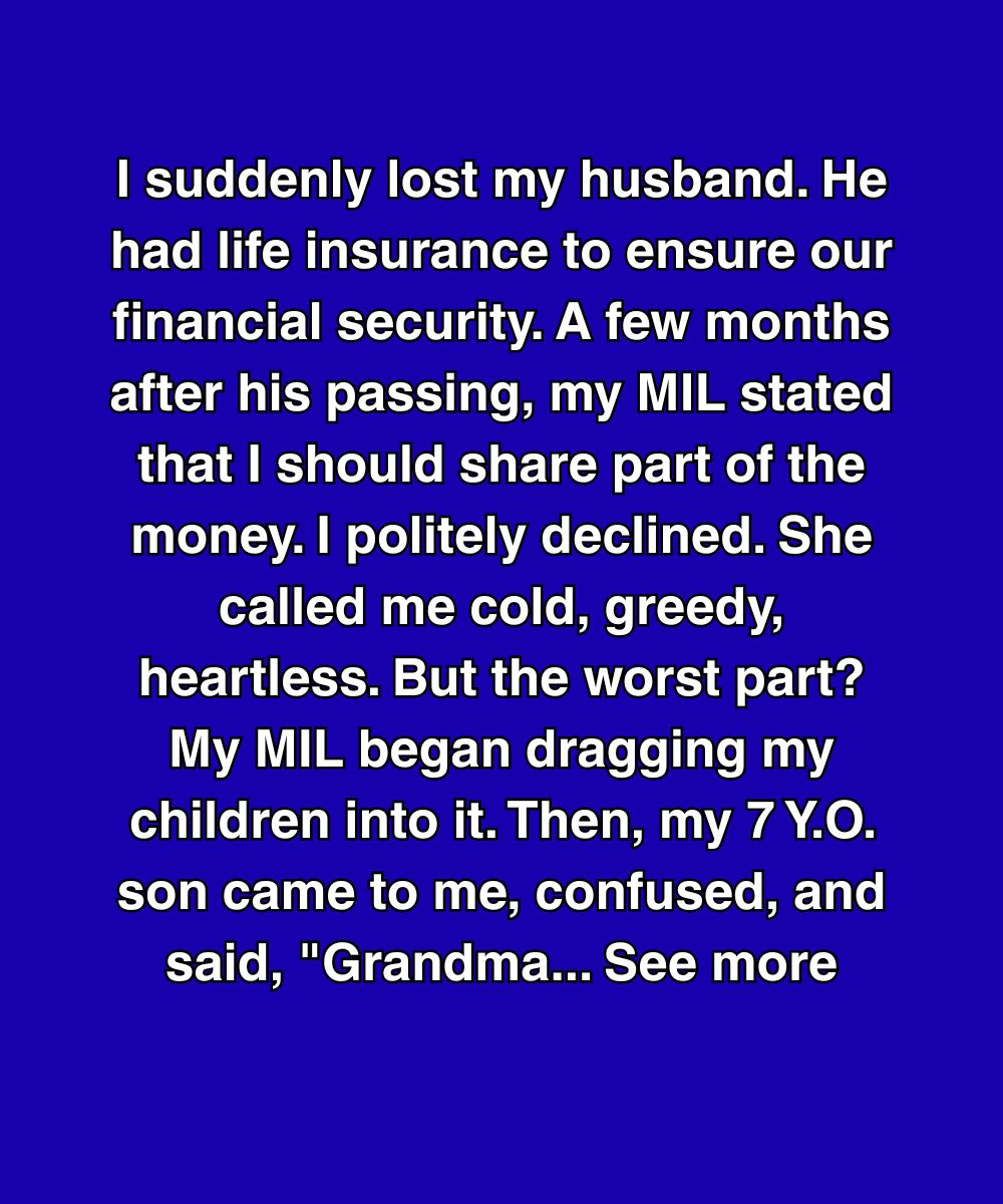 My Mother-In-Law Said I Was Greedy—Then My Son Repeated Her Exact Words
