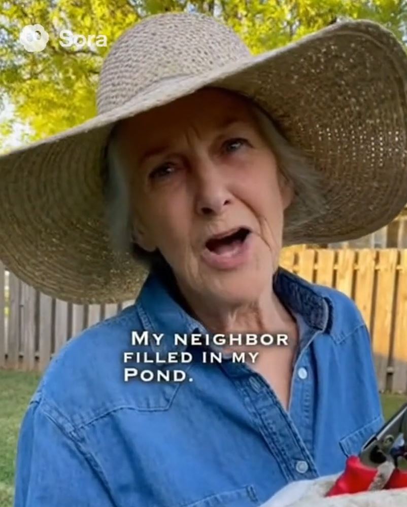 My Neighbor Filled In My Pond – I Showed Him Why You Don’t Cross An Older Woman