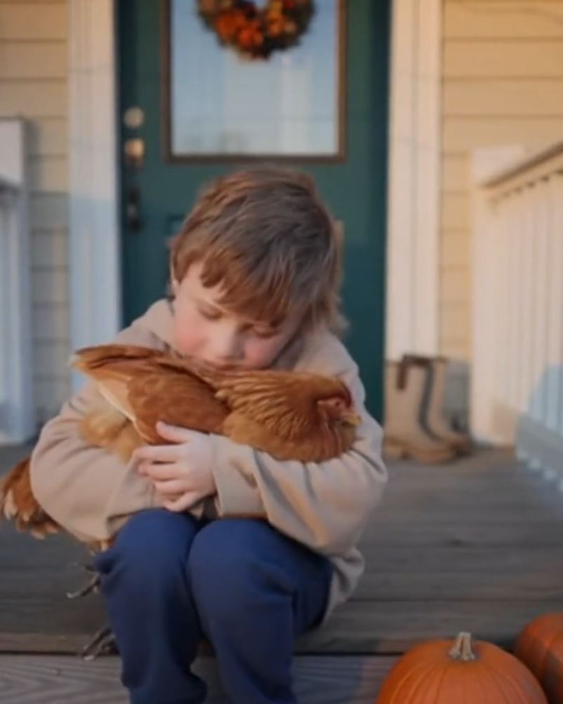 He Wouldn’t Let Go Of The Chicken—And I Didn’t Have The Heart To Tell Him Why She Was Missing Yesterday