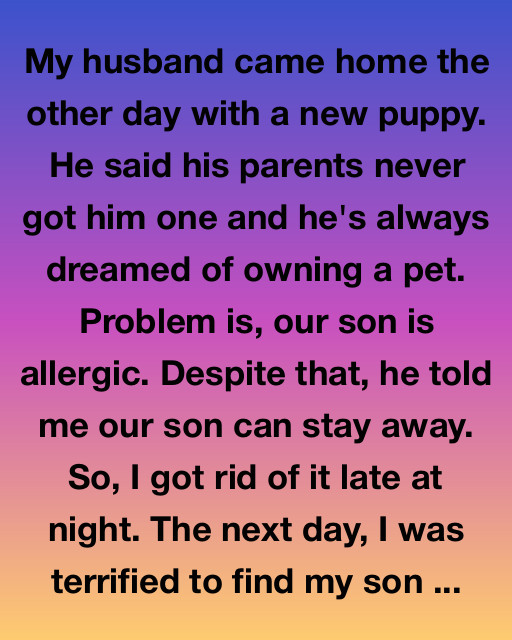 My Husband Chose A Puppy Over Our Son — So I Chose Differently