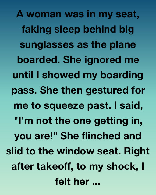 The Stranger In Seat 14A