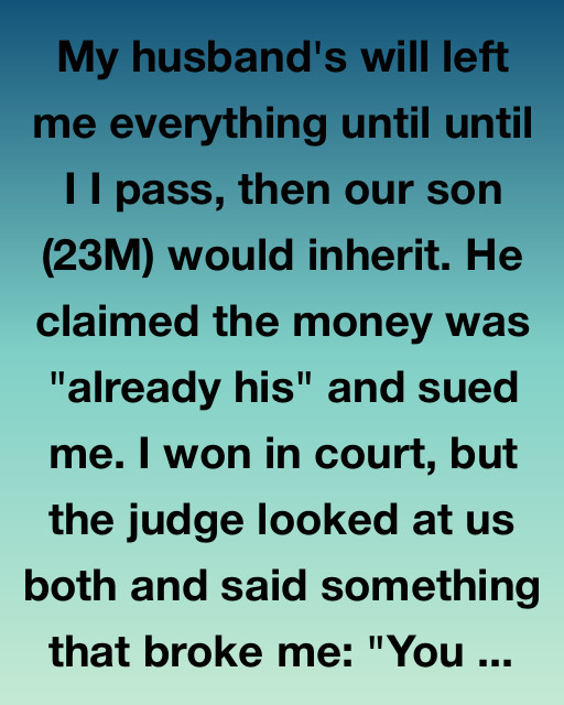 He Sued Me For The Inheritance, Then Life Taught Him What I Couldn’t