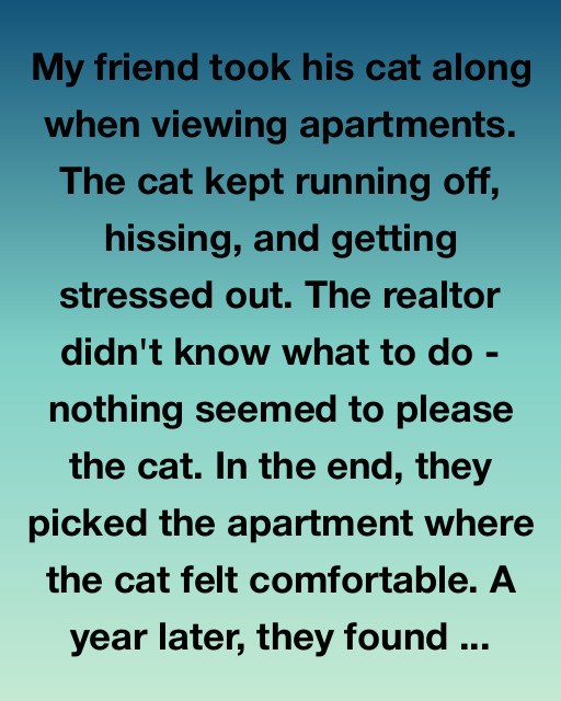 The Cat That Knew Best