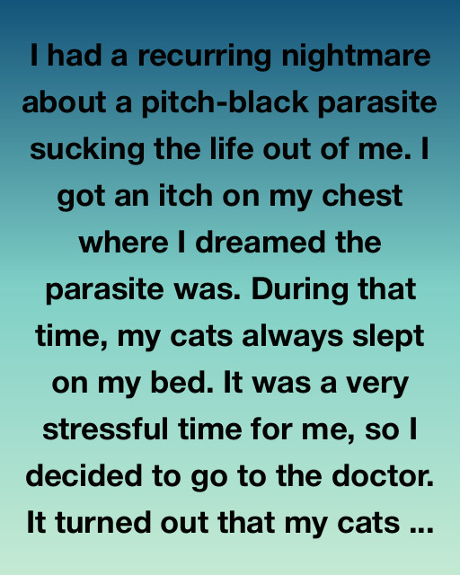 The Night My Cats Saved My Life