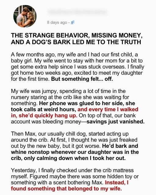 The Strange Behavior, Missing Money, And A Dog’s Bark Led Me To The Truth