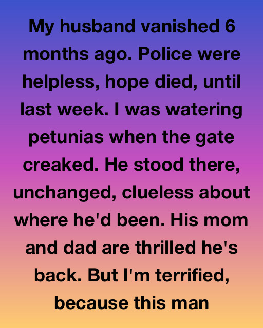 My Husband Vanished 6 Months Ago—Then Reappeared In Our Garden Like Nothing Happened