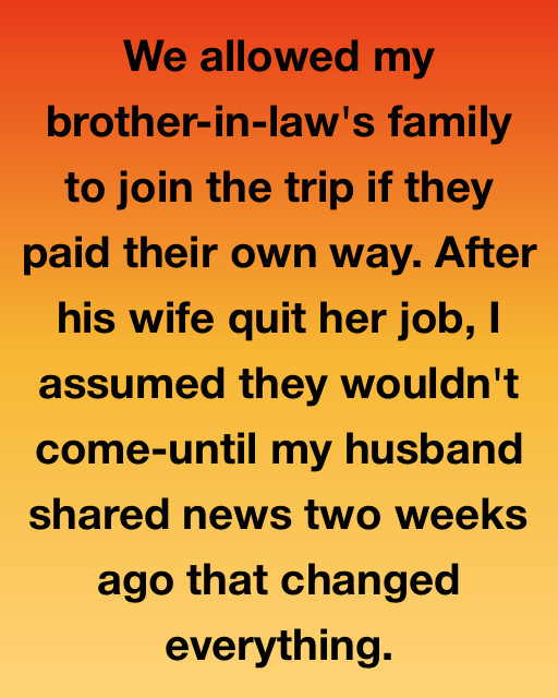We Allowed My Brother-In-Law’s Family To Join The Trip If They Paid Their Own Way—But He Had Other Plans
