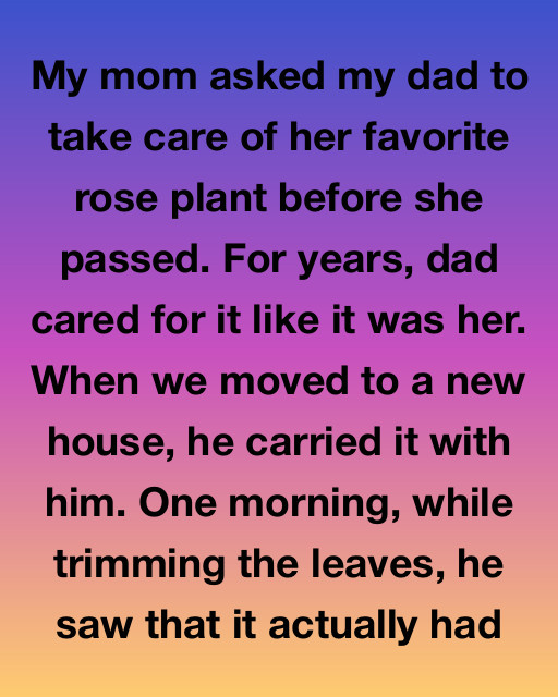 The Rose That Remembered Her