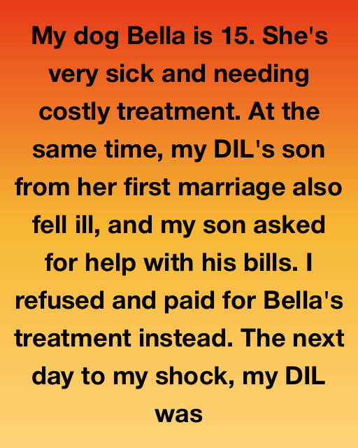 My Dog Bella Was Dying—So I Chose Her Over My Family, And Faced The Consequences