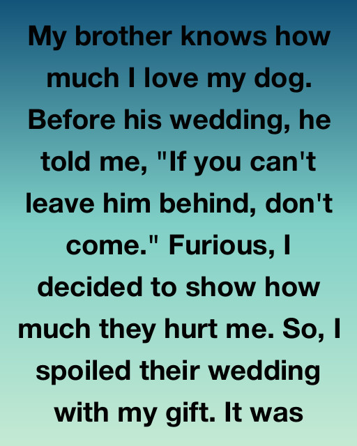 My Brother Told Me Not To Bring My Dog To His Wedding—So I Gave Them A Gift They’d Never Forget