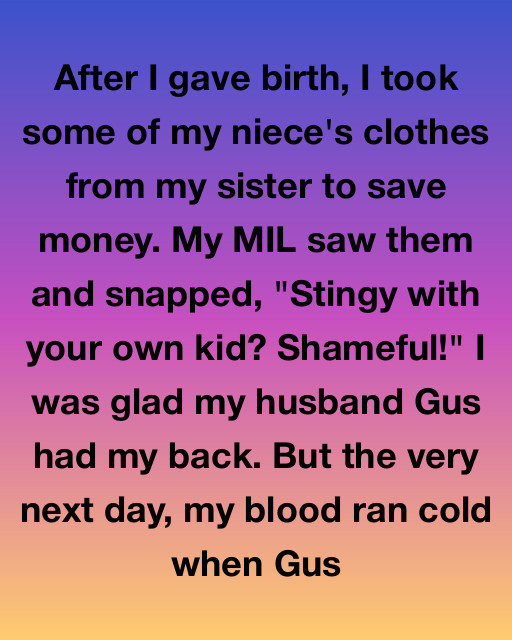 Stingy With My Own Kid? My MIL Regretted That Comment When I Found Out What Gus Did Next