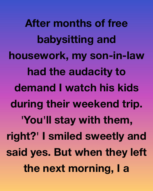 Babysitting Revenge Story