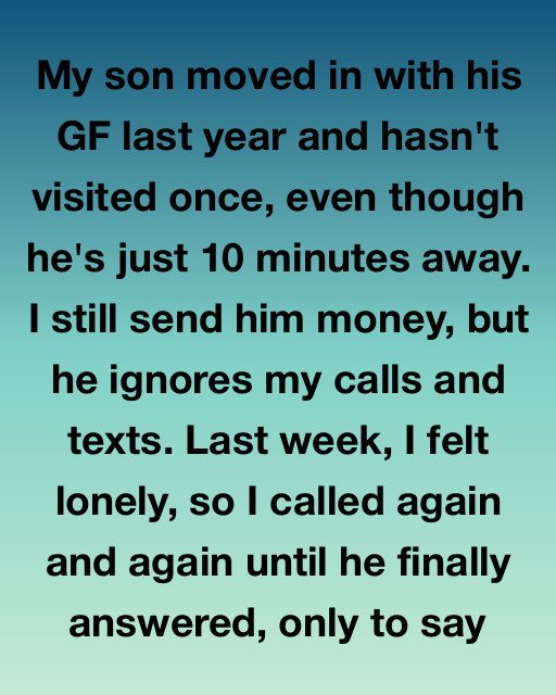 The Son Who Forgot Me—Until Life Taught Him What I Couldn’t
