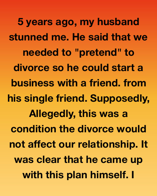 The Fake Divorce That Cost Me Everything—Until I Took It Back