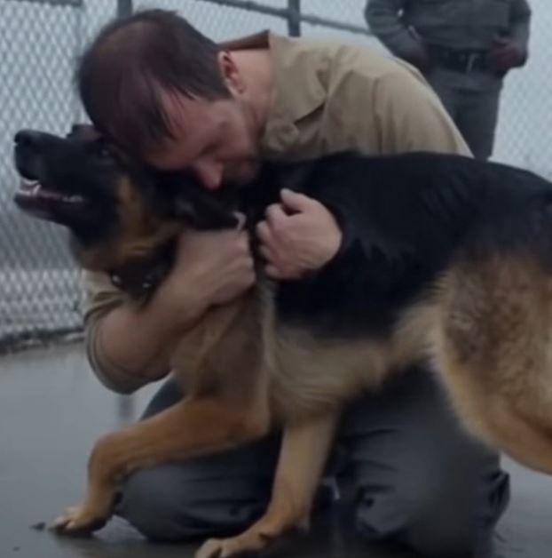 A Prisoner’s Final Wish Was To See His Dog — But When The German Shepherd Broke Free And Rushed Into His Arms Something Strange Happened