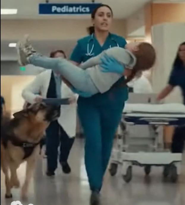 K9 Dog Walks Into Hospital With A Girl In Trouble — What Followed Left Everyone Speechless