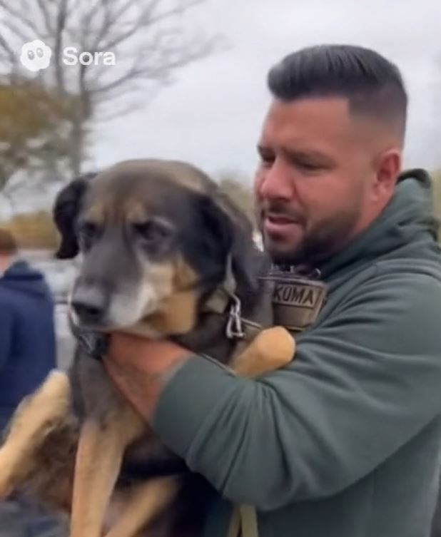 My Dog Started Shaking Outside The Vet—But I Was The One Who Froze Up First