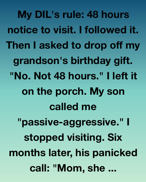My DIL’s Rule: 48 Hours Notice. I Followed It. Then Everything Changed.