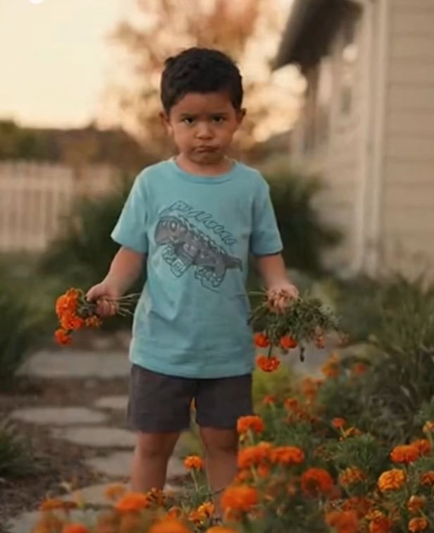 The Kid Next Door Keeps Destroying My FlowersโBut His Mom Says Iโm โToo Sensitiveโ