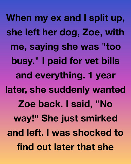 The True Cost Of Care