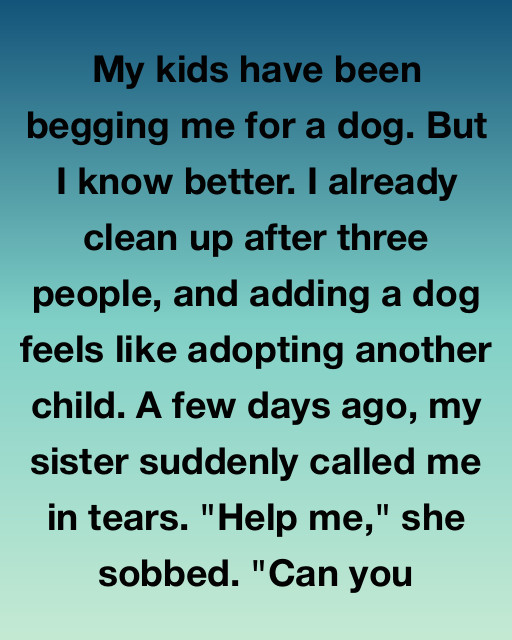 My Kids Have Been Begging Me For A Dog—Then My Sister Called Crying, And Everything Changed