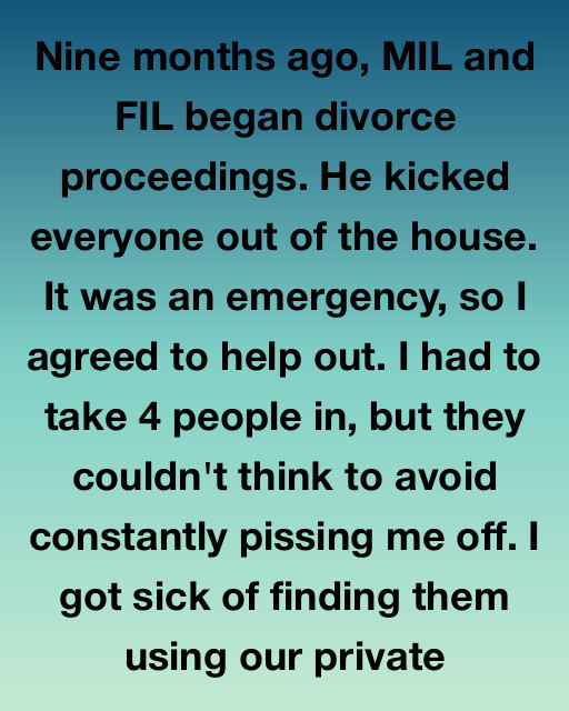 “Nine Months of Chaos: When My Generosity BackfiredโUntil It Didnโt”