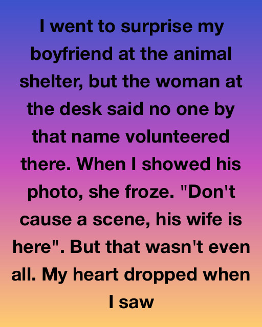 Shelter Surprise Twist