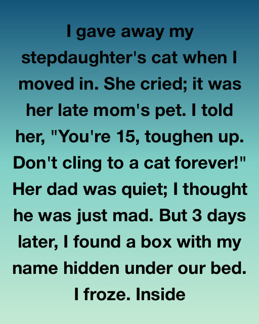 Stepdaughter Cat Box