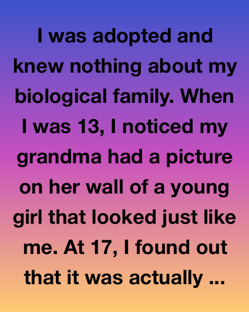 The Girl In The Picture