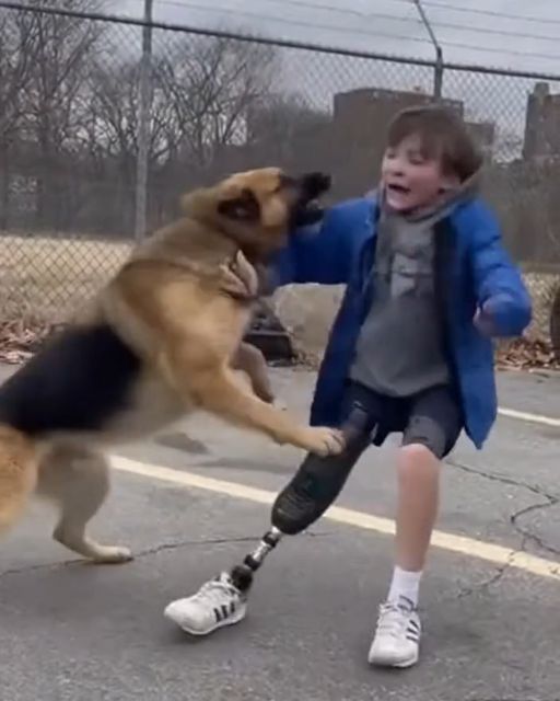 The Biker Who Stood Between Teeth and Terror