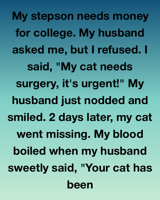 THE CAT DISAPPEARED—AND SO DID MY TRUST