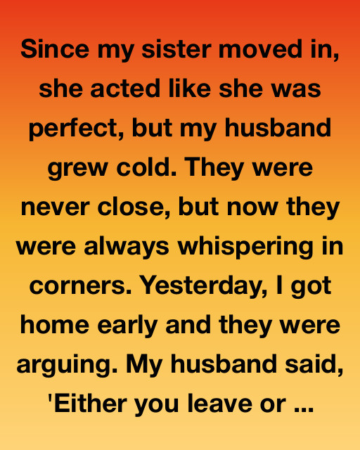 Since My Sister Moved In