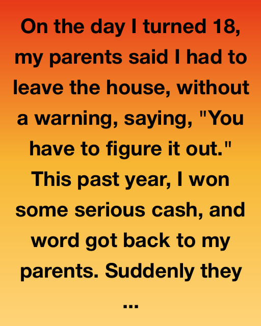 Thrown Out At 18, They Came Back When I Got Rich