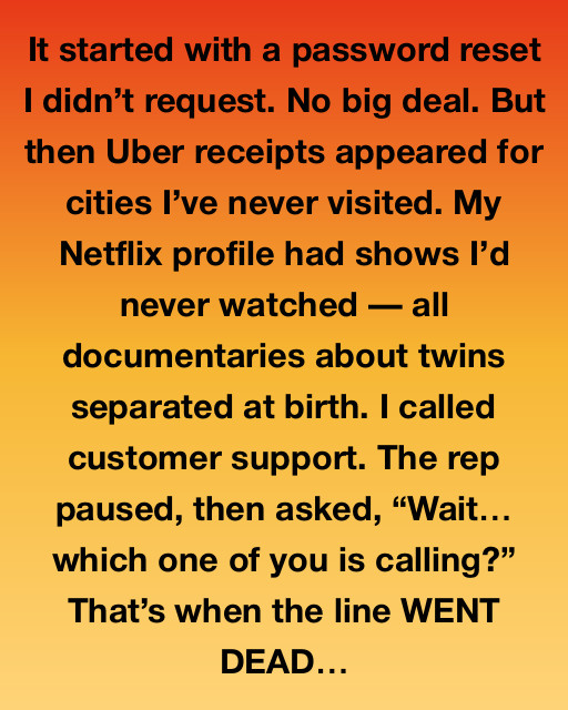 The Glitch In The Mirror