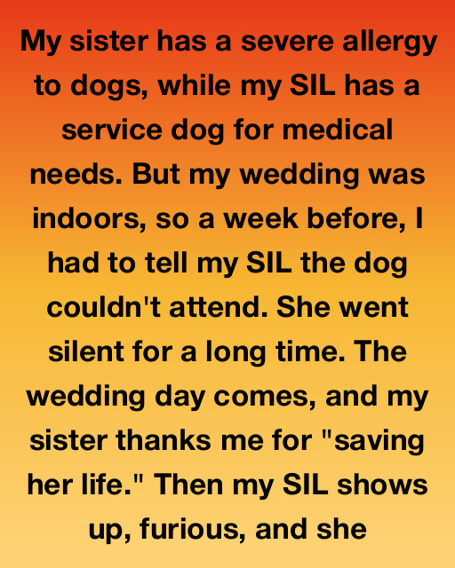 The Unseen Sacrifice That Saved Our Family