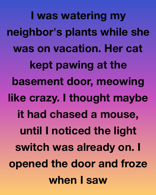 The Unexpected Discovery In My Neighbor’s Basement