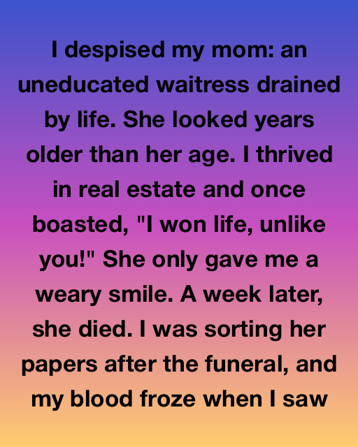 The Mother I Never Understood—Until It Was Too Late