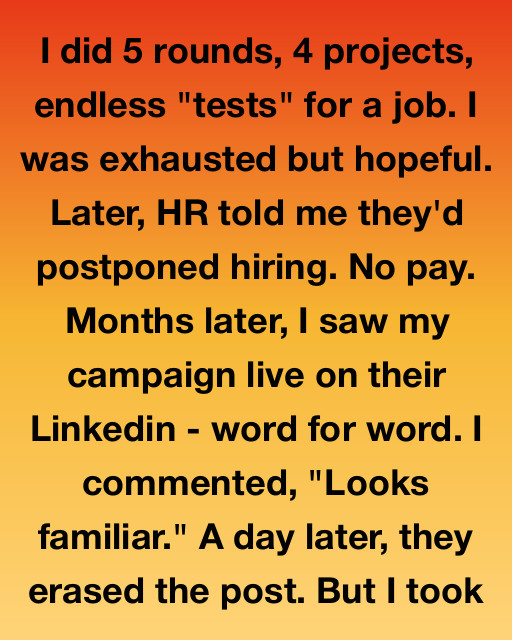 They Told Me the Job Was on Hold—Then I Saw My Work Live on Their Website Without a Word