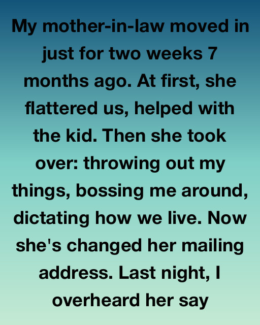 The Mother-In-Law Who Came For Two Weeks—And Tried To Replace Me