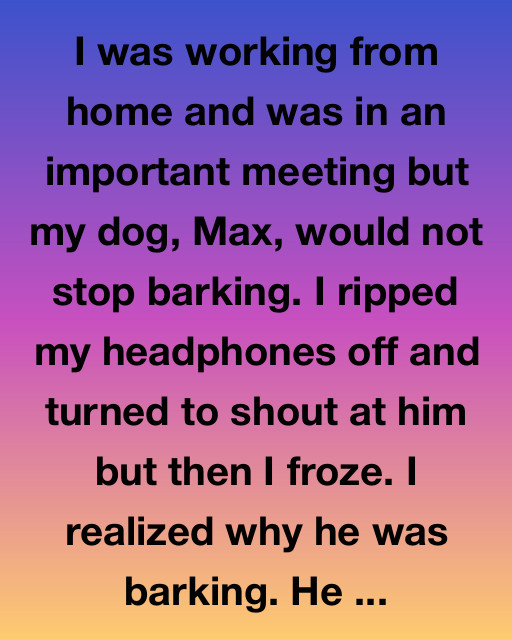 The Bark That Changed Everything