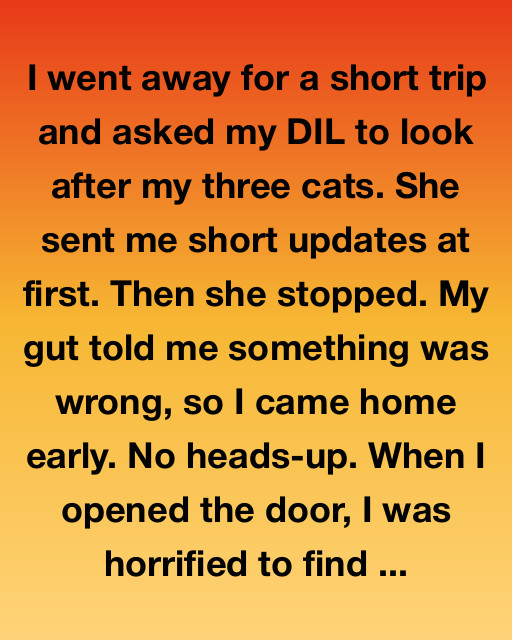 I Came Back Early And What I Found Broke My Heart — But It Led To Something Beautiful