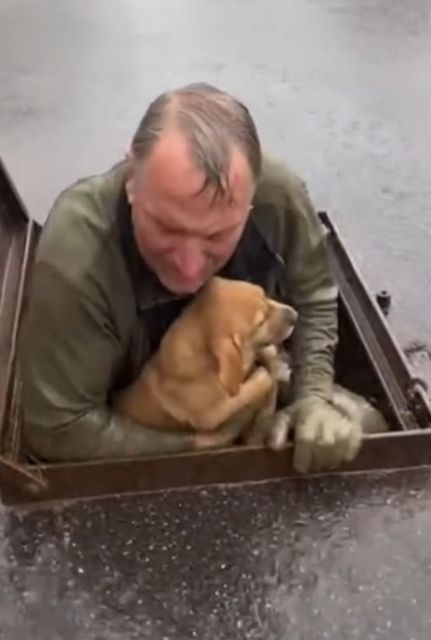 The Sound In The Sewer