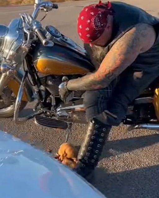 Biker Blocks Road And I Lose It—then I See The Blood On The Pavement