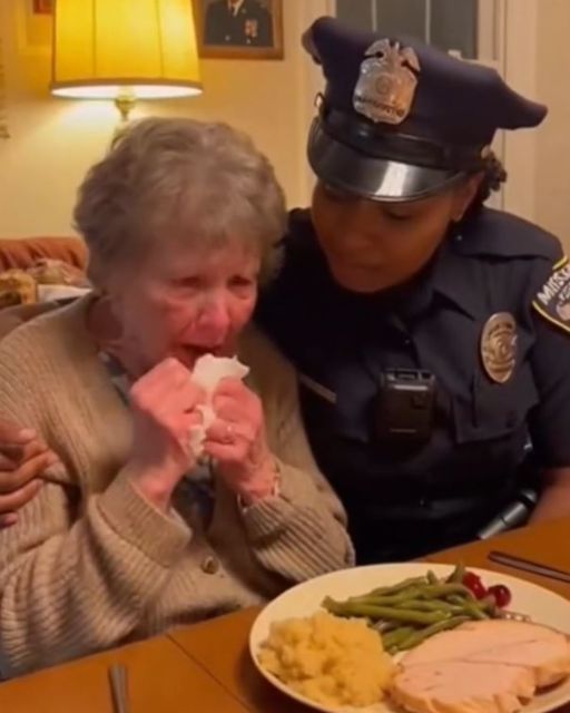 She Wasn’t Meant To Eat Thanksgiving Alone… But Someone Showed Up