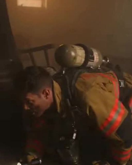 Firefighter Pulls A Pet From The Flames—The Dog’s Name Tag Stopped Him Cold