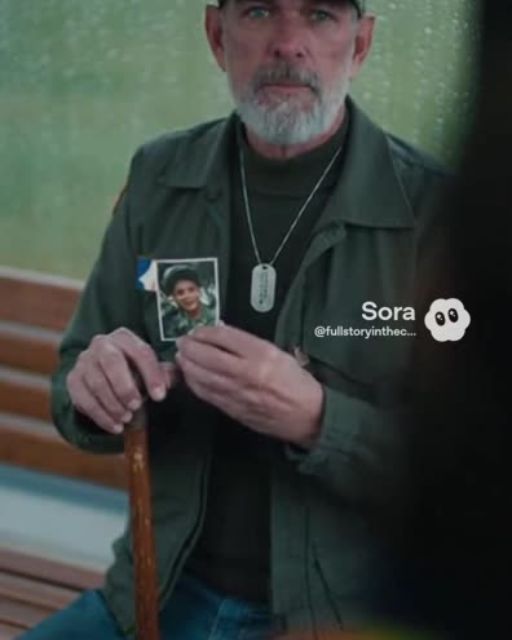 A Veteran Waited at the Same Bus Stop Every Day—When I Asked Why He Never Boarded, He Said One Word That Haunts Me