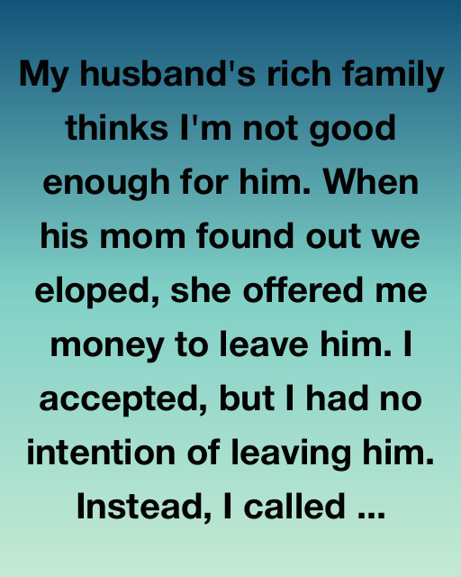 My Husband’s Mother Offered Me Money To Leave Him—So I Took It And Did This Instead